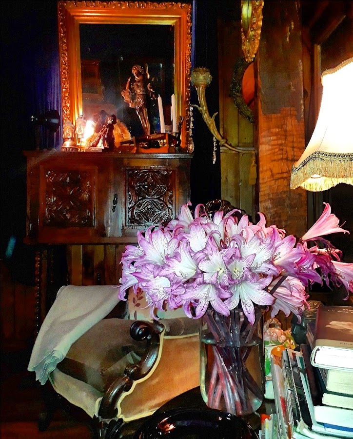 A Hotel Boutique Pelluhue foto 7