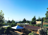 Hostal Maule foto 10