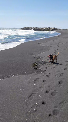 Marbella foto 11